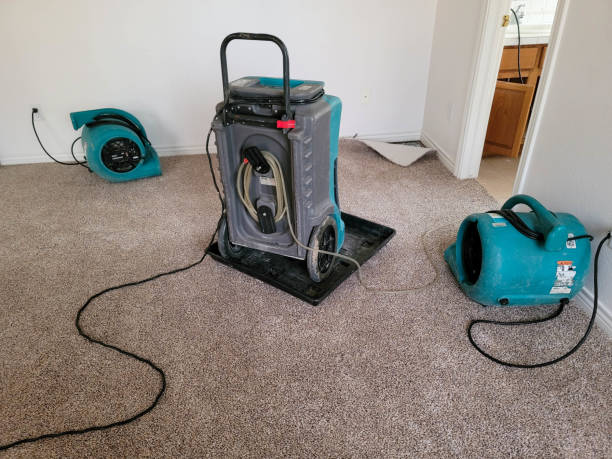 Best Sewage cleanup and water damage restoration  in Gleneagle, CO