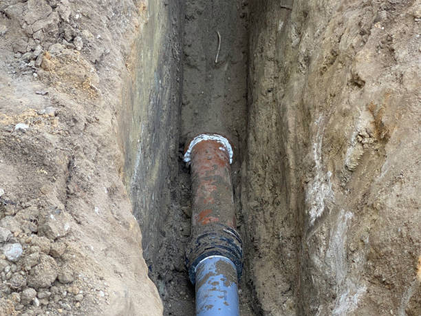 Best Flood damage cleanup  in Gleneagle, CO