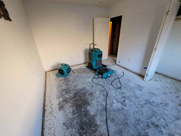 Best Emergency water damage restoration  in Gleneagle, CO