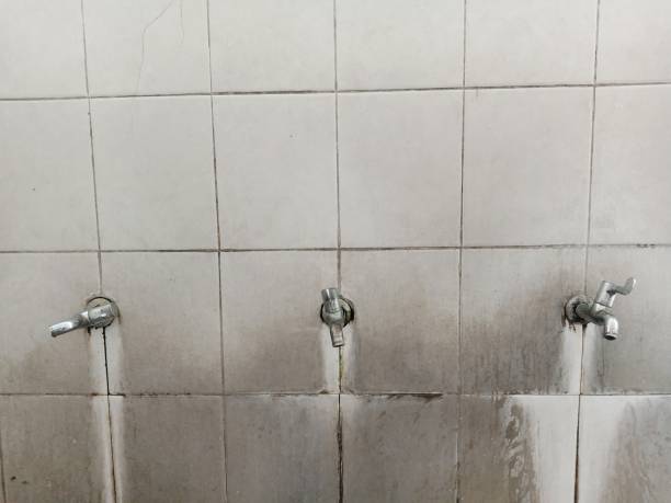 Best Professional water damage repair  in Gleneagle, CO