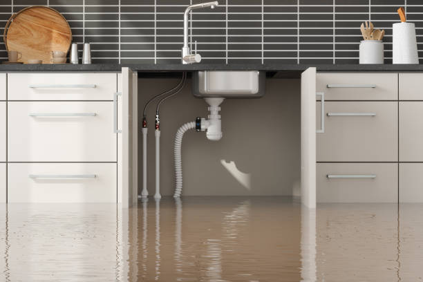 Best Residential water damage restoration  in Gleneagle, CO